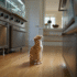 Le chat a faim et attend de la nourriture dans la cuisine