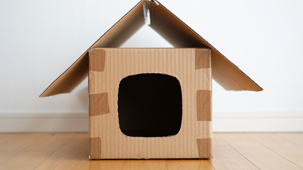 Une maison en carton pour chat.